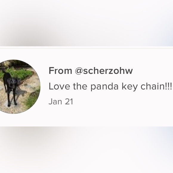 Cute Panda Keychain - Picture 12 of 12